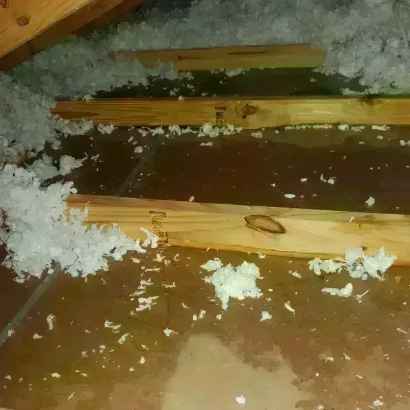 Attic Water Damage in Coventry Lake, CT